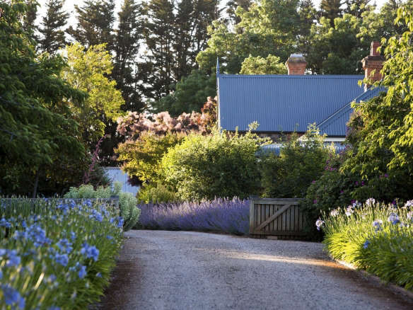 Can This Garden Be Saved: “It Barely Rains; I Live in a Desert”