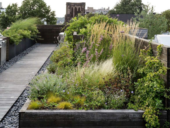 Ask the Expert: Roof Garden Basics with Designer Julie Farris