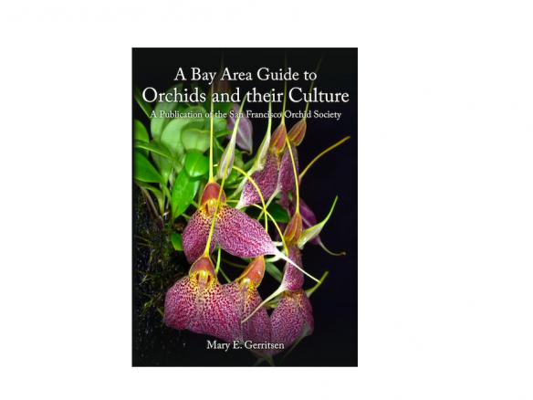 A Bay Area Guide to Orchids and their Culture