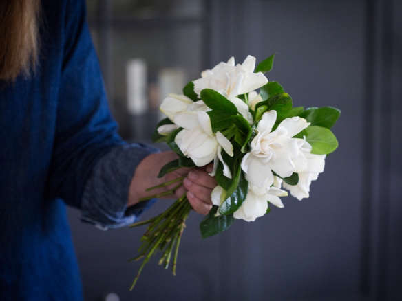 Mother’s Day: Her Favorite Flowers Delivered to the Door
