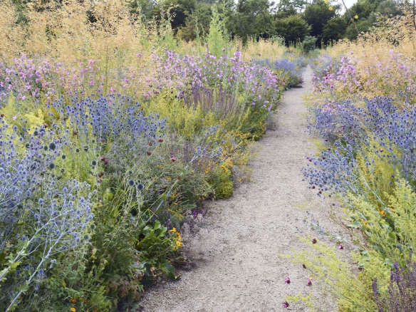 Ask The Expert: How to Plant a Meadow Garden, with James Hitchmough