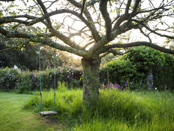 Can This Garden Be Saved: I Don’t Like Mowing Around Trees