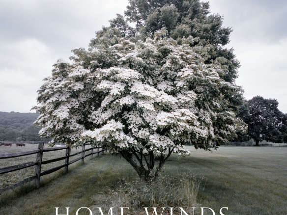 Home Winds