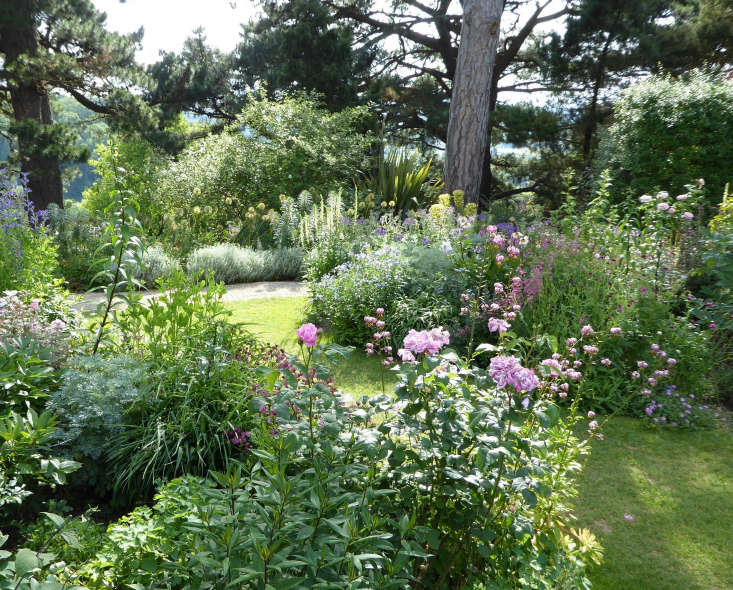 The perennial borders at Kiftsgate Court Gardens are packed with a succession of roses and perennials. Photograph by Clare Coulson.