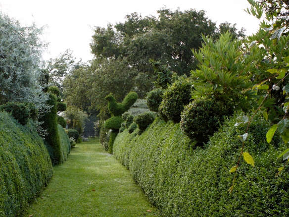 Landscaping 101: How to Tame Overgrown Shrubs
