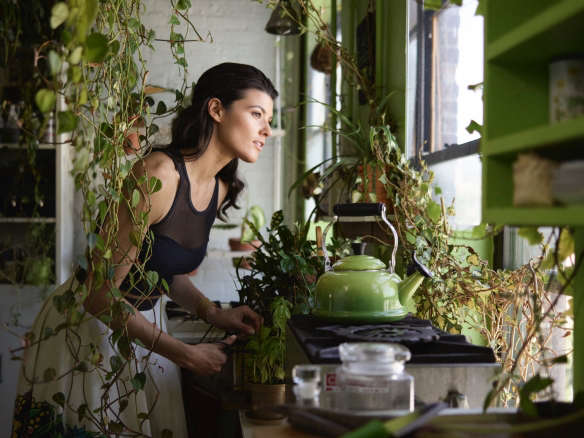 Living with Houseplants: Four Years Later in a Brooklyn Apartment