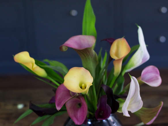 Calla Lily: Rethinking a Bridal Bouquet Flower