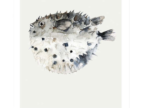 Pufferfish Watercolor Print