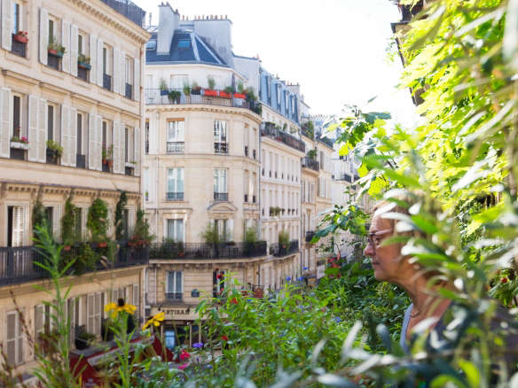 How to Garden Like a Frenchwoman: 10 Ideas to Steal from a Paris Balcony