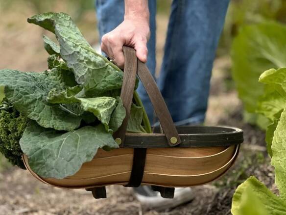 Traditional Wooden Garden Trug