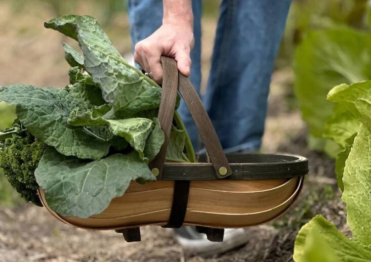 This Traditional Wooden Garden Trug made from cypress pine strips is \$3\1.50 at the Diggers Club in Australia.