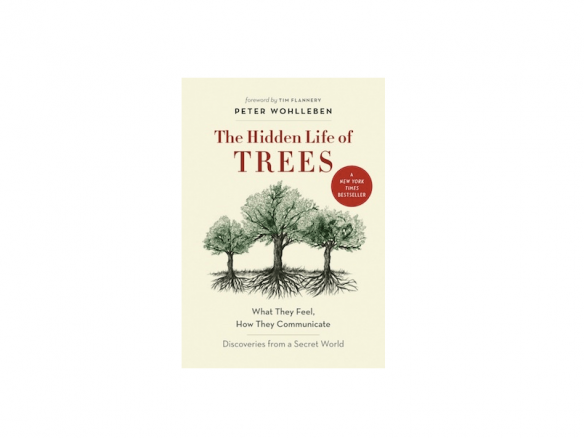 Peter Wohlleben’s The Hidden Life of Trees