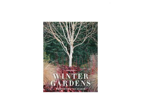 Winter Gardens : Reinventing the Season