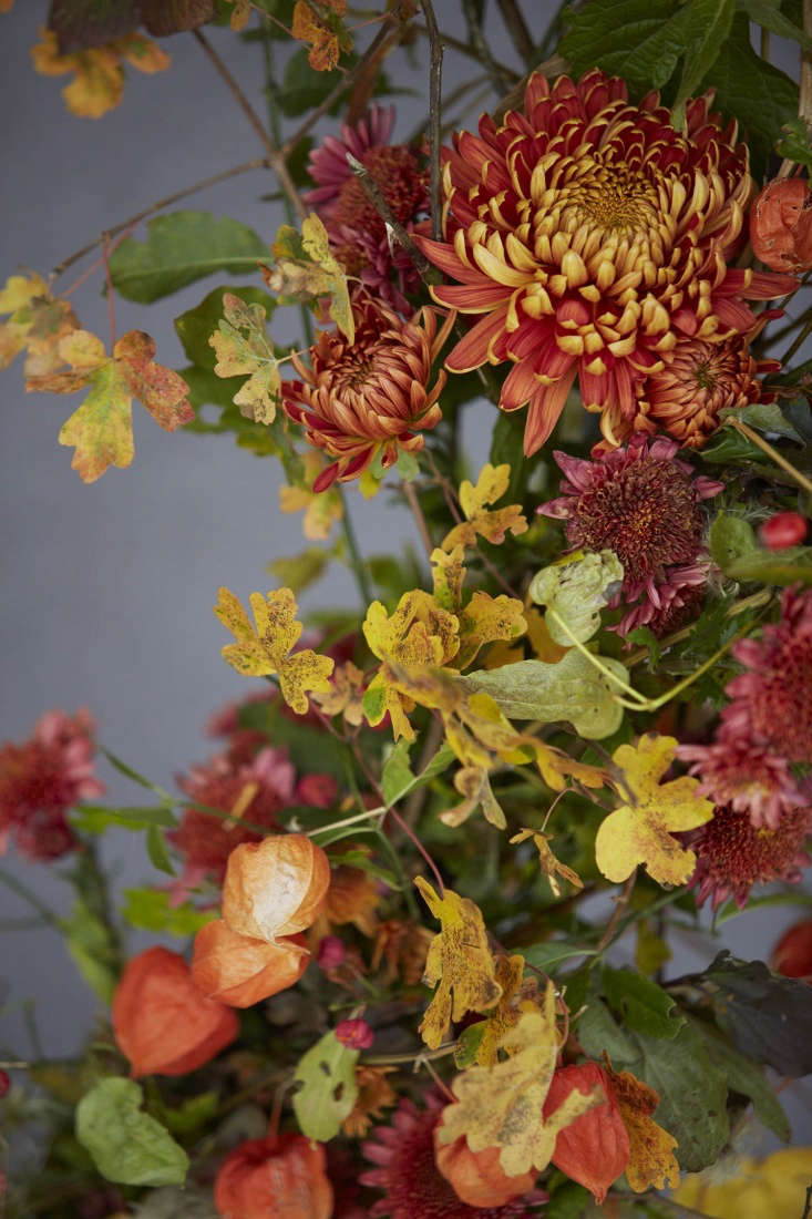 Hedgerow gatherings, including spindle and hawthorn, joined by magenta chrysanthemums and Chinese lanterns.