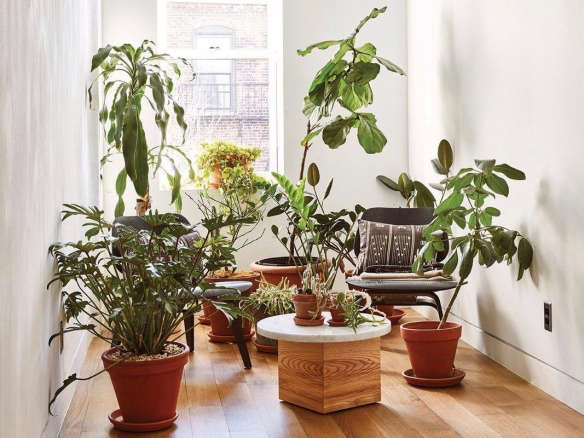 Greatest Hits 2022: 9 Best Practices for Sustainable Houseplants