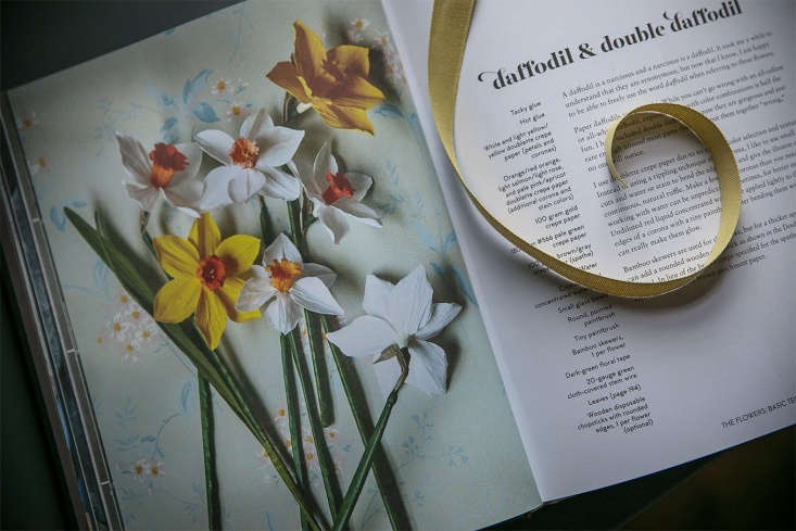 See more in Required Reading: The Fine Art of Paper Flowers. Photograph by Justine Hand.