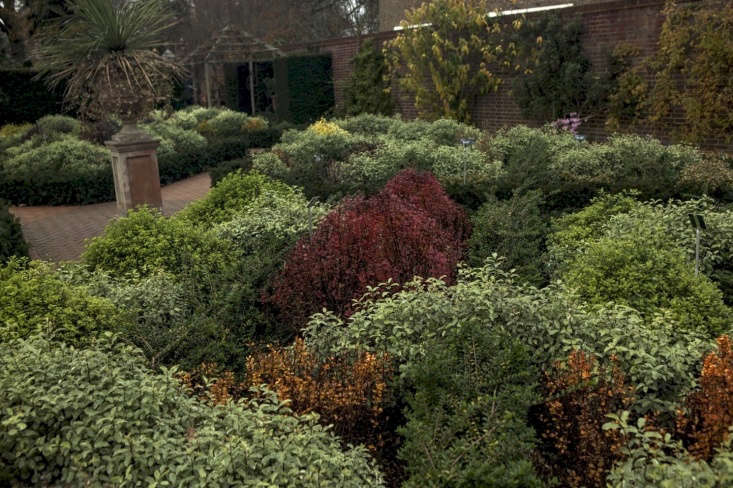  Red, orange and purple berberis are a standout in autumn and early winter.