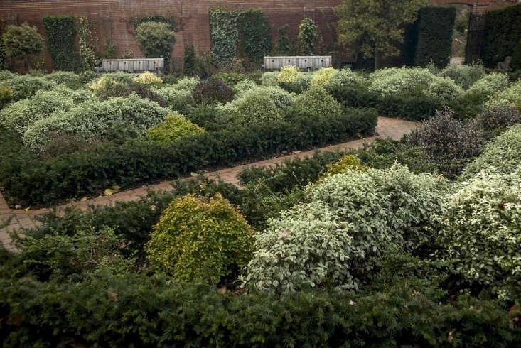  Above: The most surprising discovery was that a walled garden, divided into beds of low hedging, could be so lively and colorful in winter.