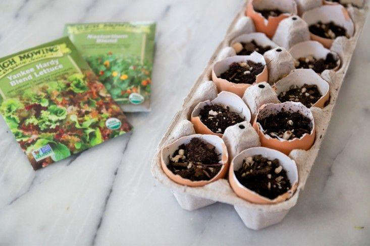 Because they are biodegradable, eggshells make excellent, no-waste seed starters. Photograph by Justine Hand for Gardenista, from Gardening \10\1: How to Use Eggshells in the Garden.
