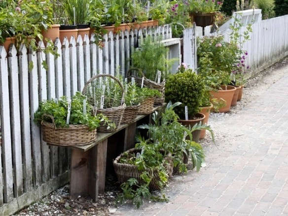 Everything You Need to Know About Herb Gardens