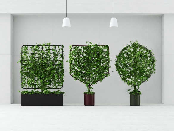 Object of Desire: Helen Kontouris’s Botanical Planter Screens