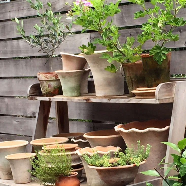 potting table terra cotta planters by Michelle Slatalla
