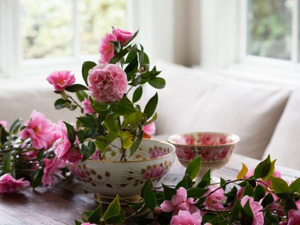 Rethinking Camellias: A Formal Flower Learns to Relax