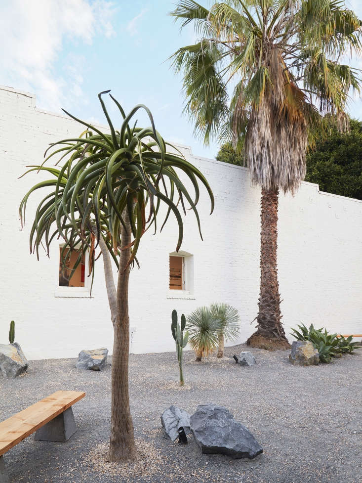 An existing palm tree adds height to the serene composition.