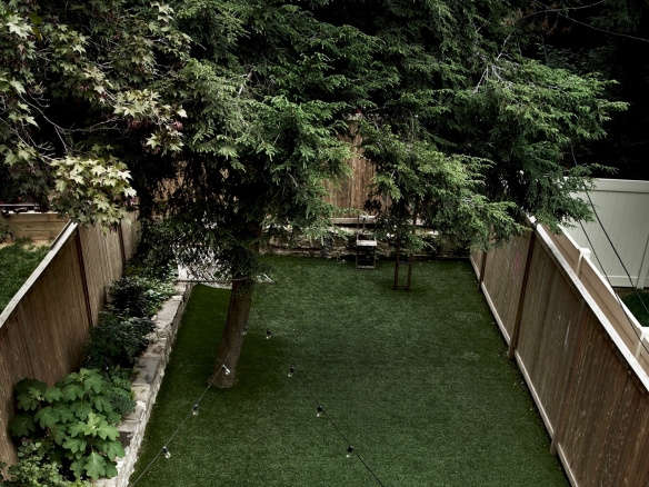 Pros and Cons: Artificial Grass Versus a Live Lawn