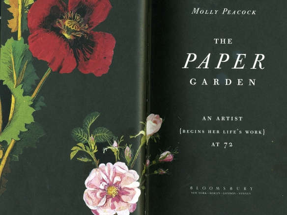 Paper Garden