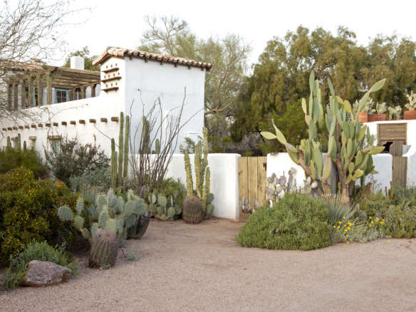 10 Ideas to Steal from Desert Gardens