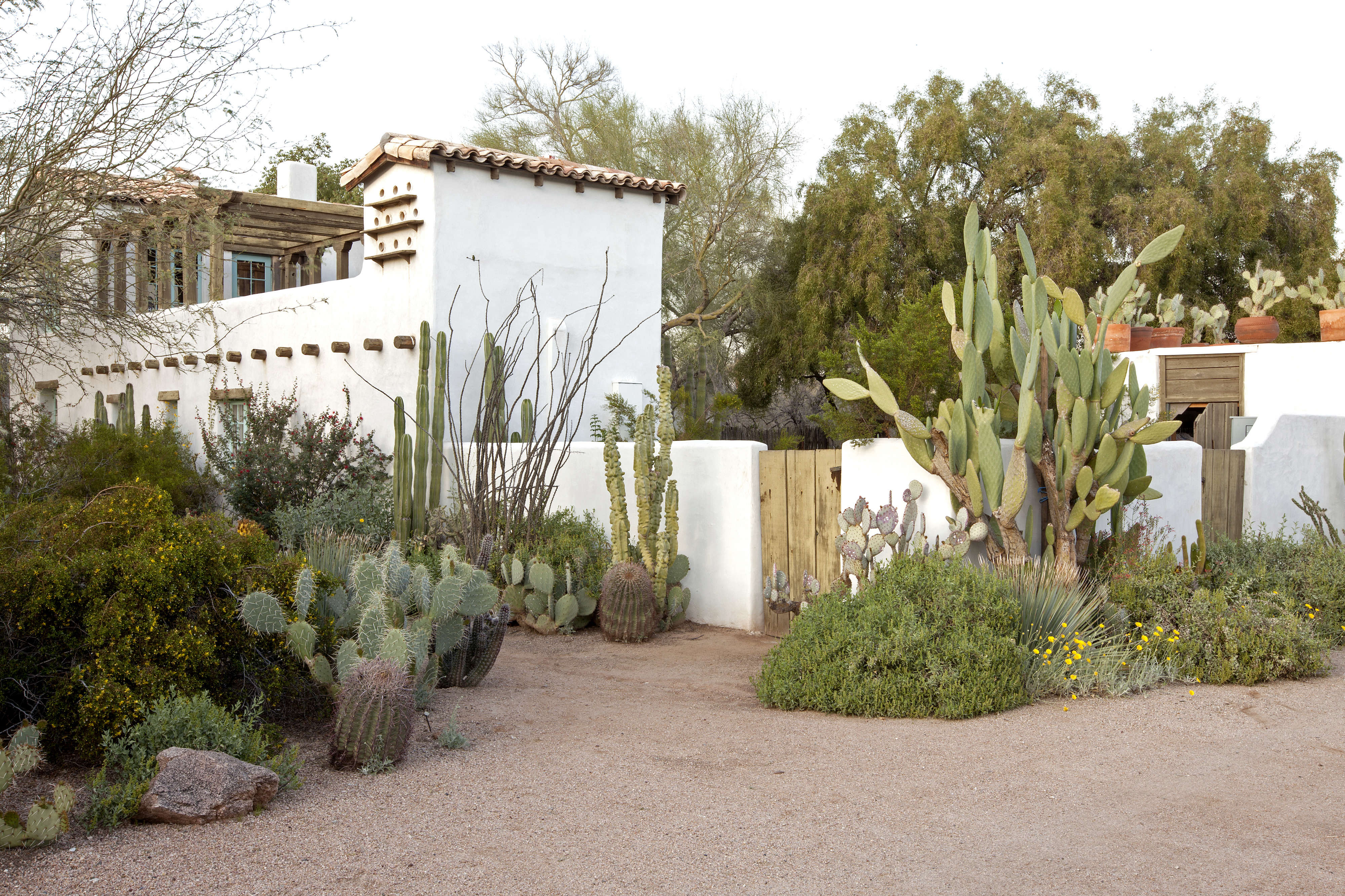 10 Ideas To Steal From Desert Gardens, Modern Desert Landscape Front Yard