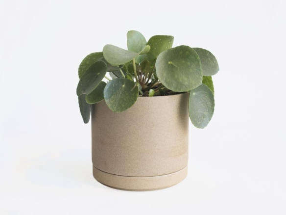 Object of Desire: Elegant Ceramic Planters from Hasami Porcelain
