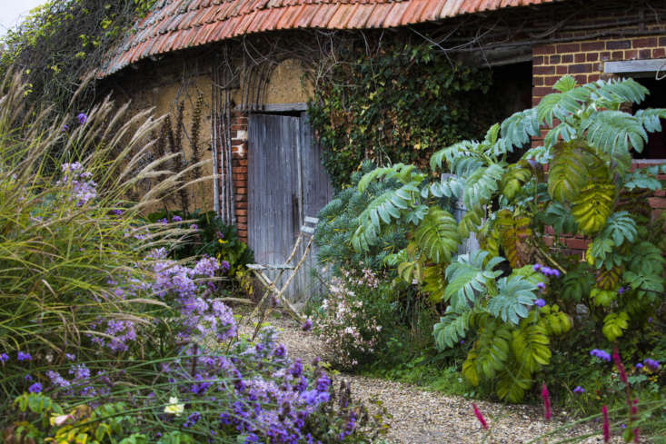 Add interesting structural plants that can hold interest when there are fewer plants flowering. Here, Melianthus major takes center stage against a warm wall at Le Jardin Plume in Normandy, France. With its stunning toothed, glaucous leaves, this architectural plant can be a dazzling addition to borders too, but it needs a sheltered spot in free draining soil. Photograph by Claire Takacs.