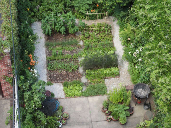 A Movable Garden: Saying Goodbye to a Brooklyn Backyard