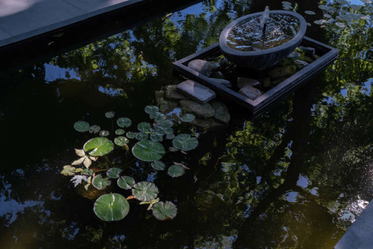 The shallow pool, with lily pads, is home to the couple&#8\2\17;s turtle, Moe. He winters in a glass tank in the house until the water warms up enough for his reentry.