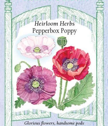 Heirloom Herbs Pepperbox Poppy
