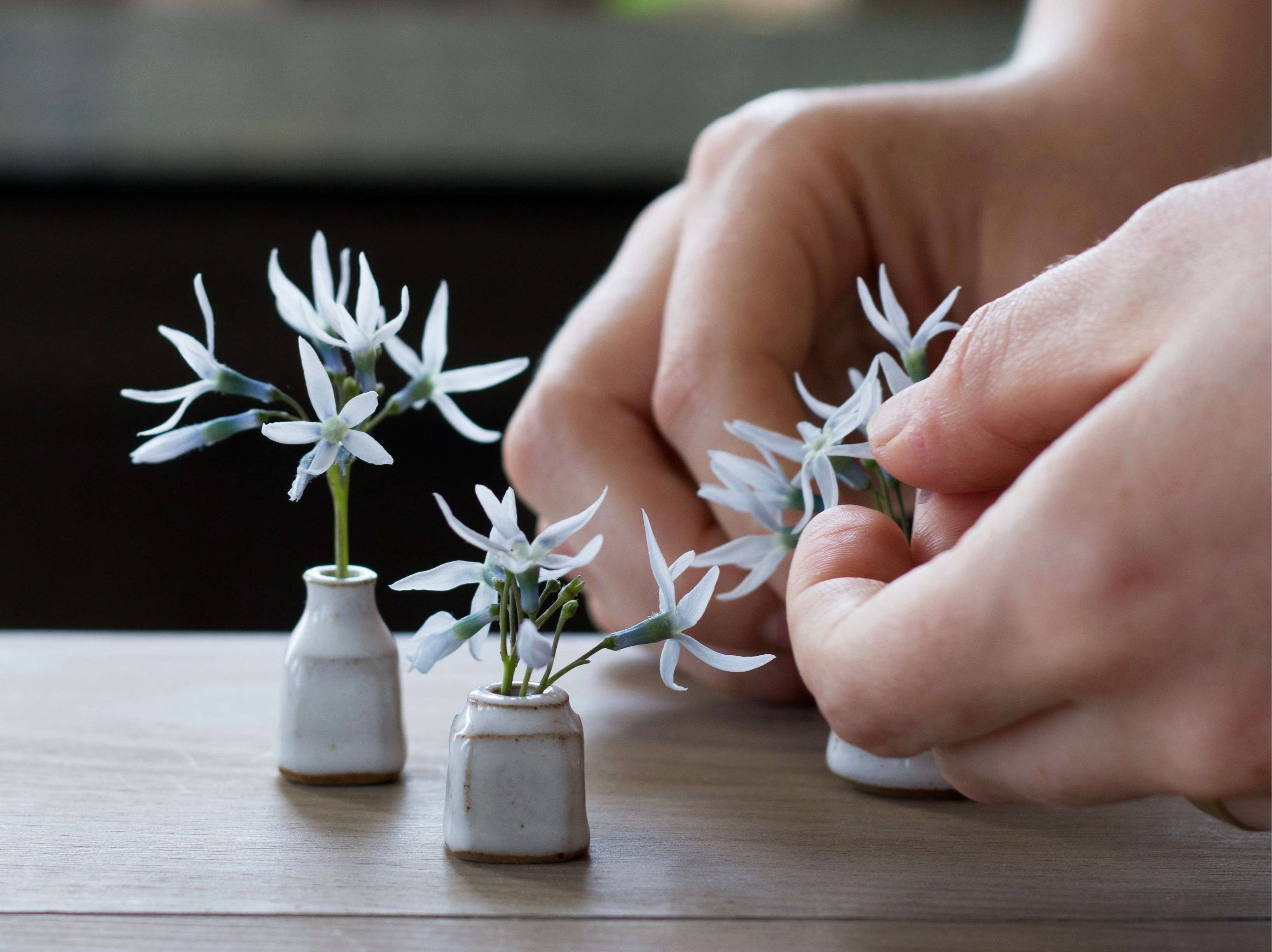 Tiny Bouquets 8 Ideas For Floral Arrangements In Miniature Vases Gardenista