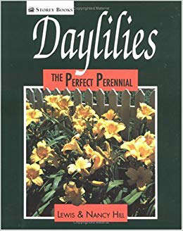 Daylilies: The Perfect Perennial