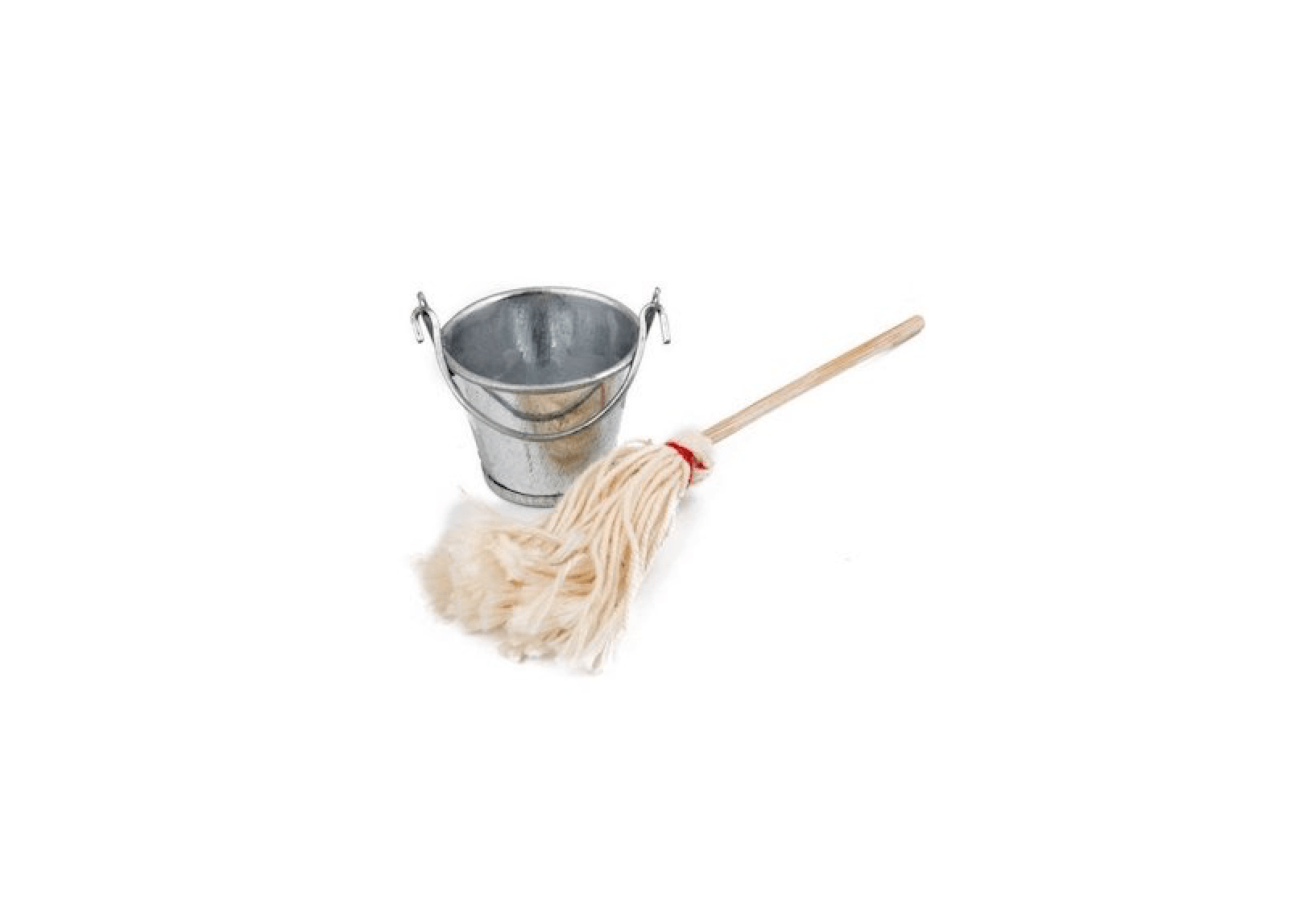 Cleaning Set Mop And Bucket