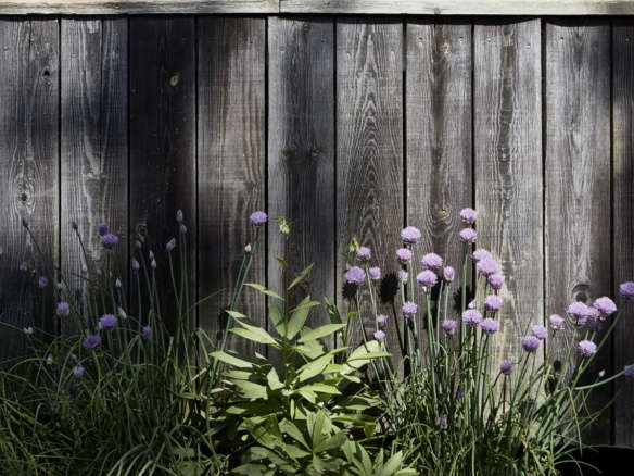 5 Things a First-Time Gardener Needs for Spring