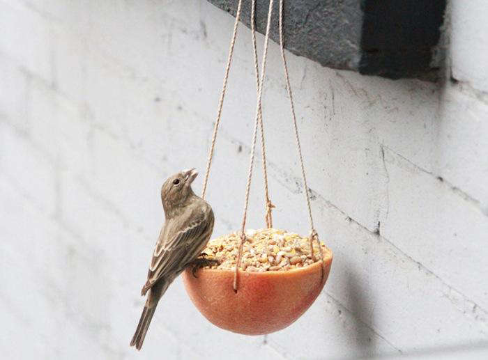 See more of this project in DIY: A Grapefruit Bird Feeder for Feathered Friends. Photograph by Erin Boyle.
