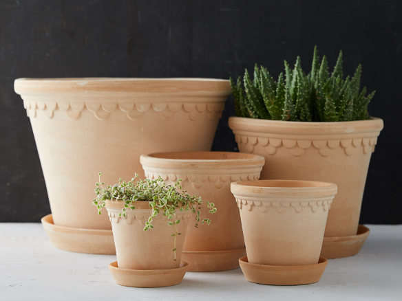 10 Easy Pieces: Terracotta Pots and Planters