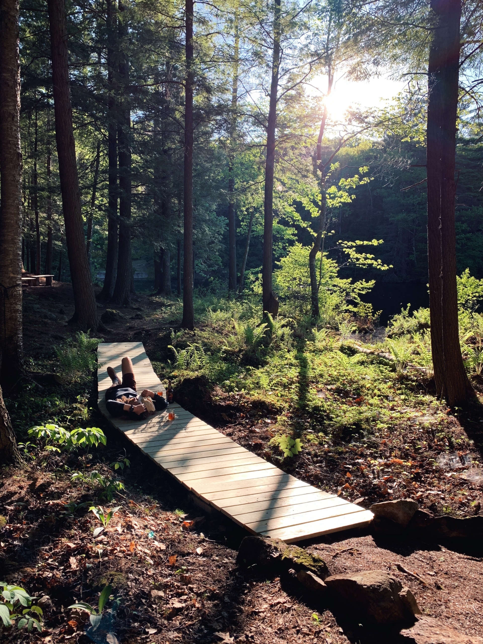 A DIY Boardwalk at an Off the Grid Cabin That Only Took One ...