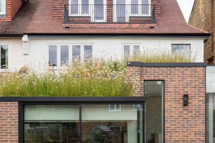 The benefit of this daisy-filled meadow, topping the new addition of a townhouse, is that it&#8\2\17;s visible from both the ground and the second-floor rooms. Photograph by Adam Scott, courtesy of Fraher & Findlay, from Fresh as a Daisy: A Wildflower Roof on a Home Designed by Fraher & Findlay.