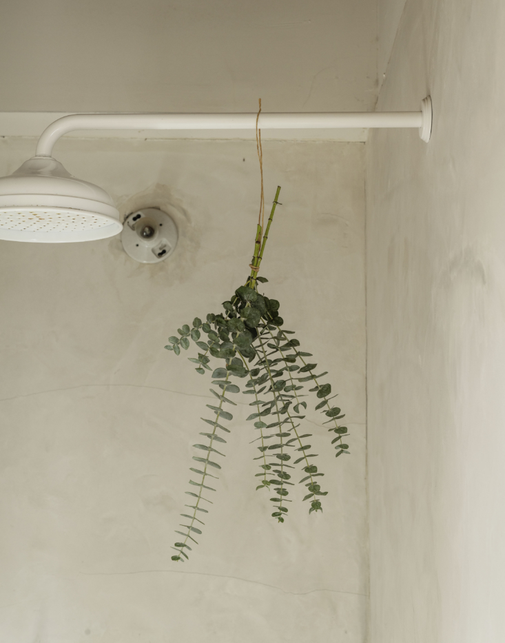 A bouquet of eucalyptus branches hanging from a showerhead. Photograph by Matthew Williams, from Remodelista: The Low-Impact Home.