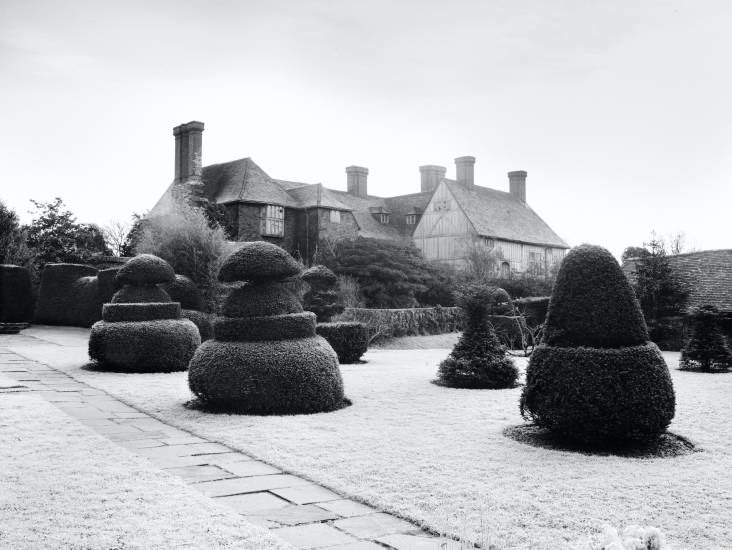 Montgomery&#8\2\17;s black and white image of yew topiaries on the lawn at Great Dixter.