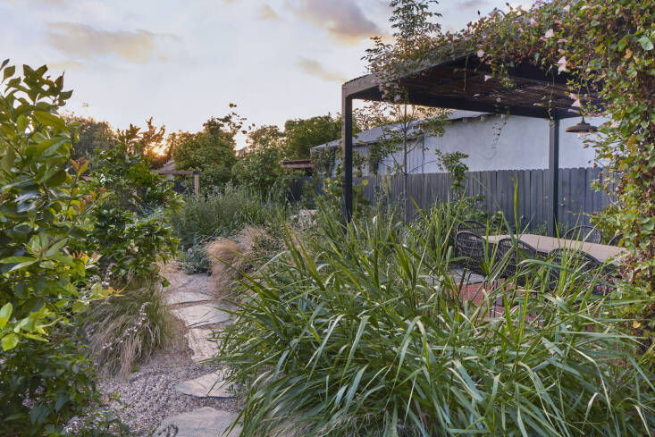 A Terremoto-designed garden in the shadow of the San Gabriel Mountains, California.