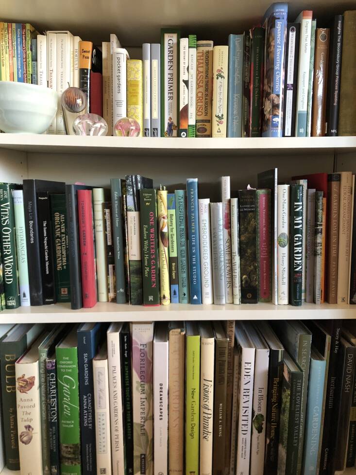 A glimpse of just a few shelves of my treasured garden books. One day I’ll organize them.