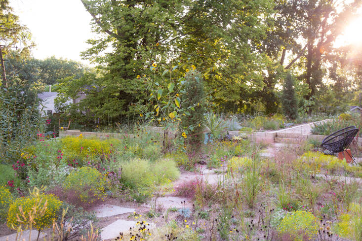“Our living case study in sand and stress,” says Norris of this area of his garden, called the Romp, shown one year after installation. It includes tall pale yellow, prairie broomweed (Amphiachyris dracunculoides), frothy purple lovegrass (Eragrostis spectabilis), hazy green poofs of Cycloloma atriplicifolium, and crimson Salvia ‘Windwalker Royal Red’. Norris’s husband, who is also a horticulturalist, as well as an etymologist, “confirmed the presence of at least \27 superfamilies of wasps” in this half-acre plot. “One of the most common reactions I get from clients is just how ‘interesting’ and ‘engaging’ ecological landscapes are,” says Norris. He agrees, but he says, “You should do more than look at them; you should live in them.”